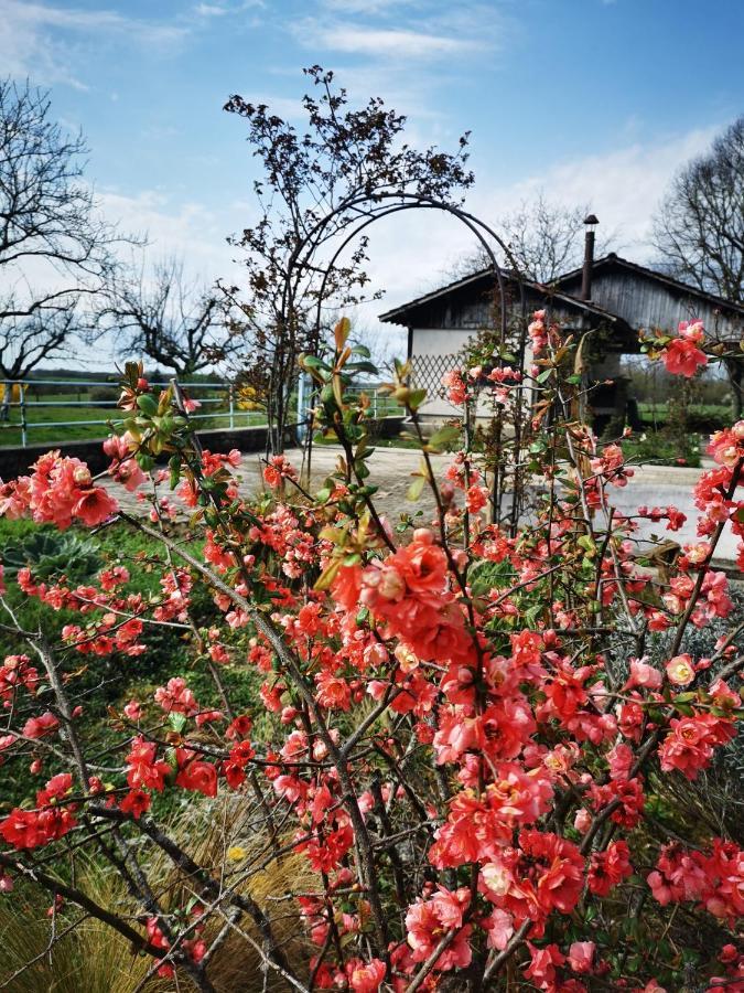 Domaine De L'Esperance, Chambre Rose Panzió Bersaillin Kültér fotó